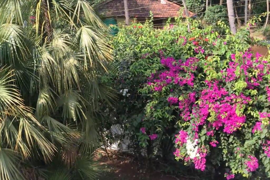 2Bhk Pool Facing Beachside Luxury Homestay In South Goa 베탈바팀 외부 사진